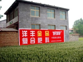 新干县如何让墙体广告展现最大化效果