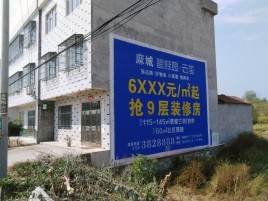 新干县墙体广告质量分析