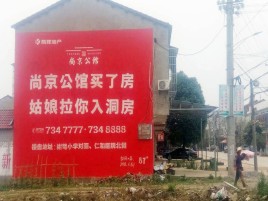 新干县墙体广告在乡镇、农村市场的媒体优势