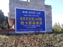 新干县品牌公司青睐的墙体广告