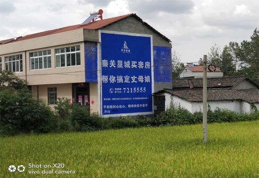 新干县决定墙体广告价格的因素有哪些?