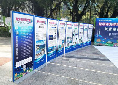 新干县KT板的种类和知识。